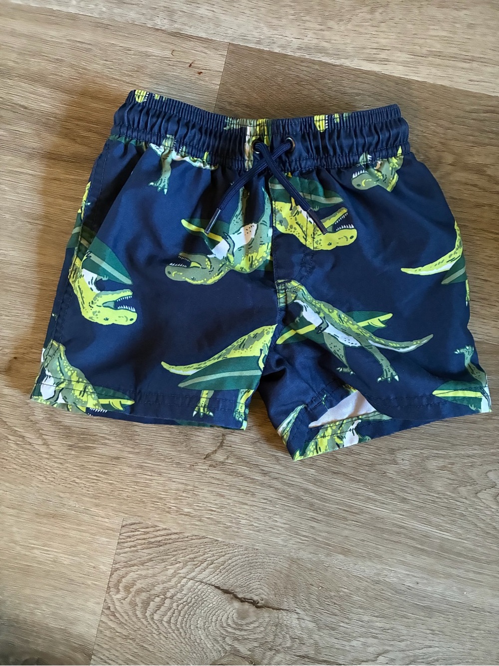 Carters Dinosaur Swim Trunks